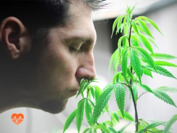 Детоксикация от марихуаны в Быково